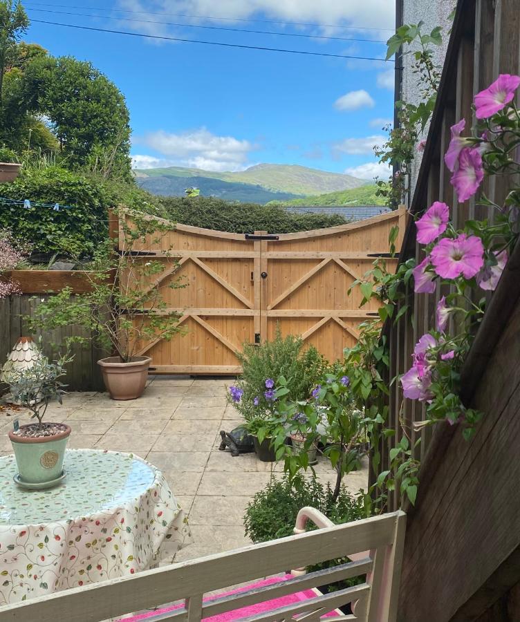 דולגלאו Snowdonia Snug - Studio Style Accommodation מראה חיצוני תמונה