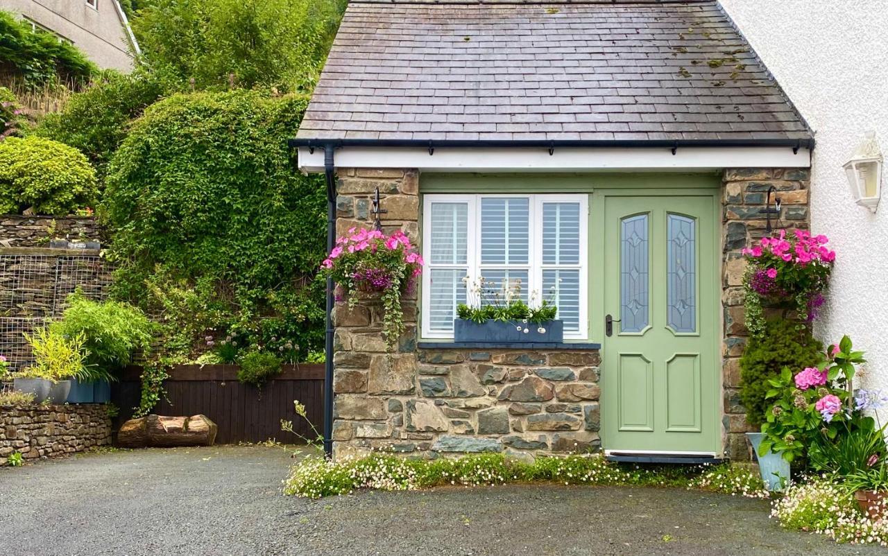 דולגלאו Snowdonia Snug - Studio Style Accommodation מראה חיצוני תמונה