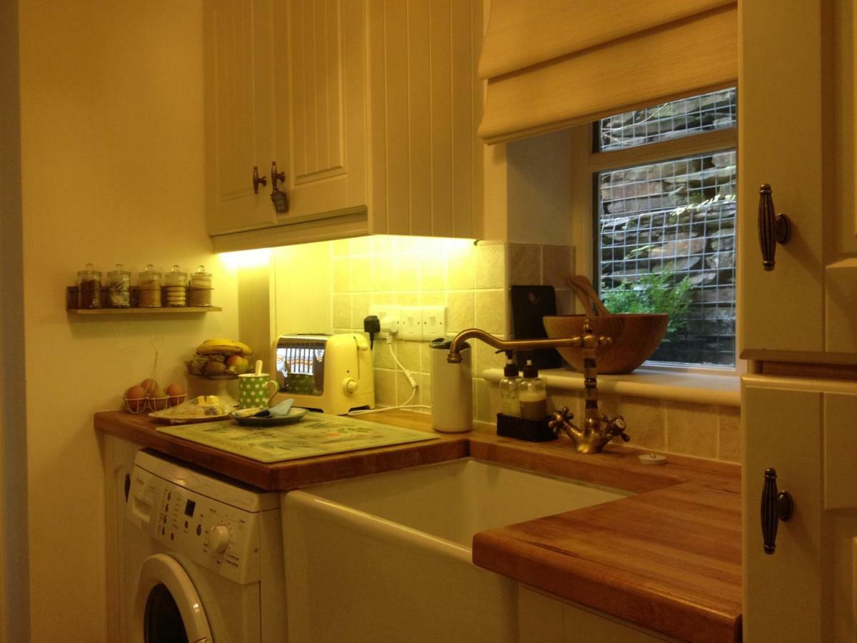 דולגלאו Snowdonia Snug - Studio Style Accommodation מראה חיצוני תמונה